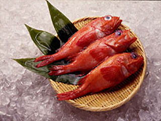 kinki1