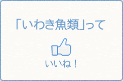 いわき魚類っていいね！詳細はfacebookページへ