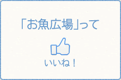 お魚広場っていいね！詳細はfacebookページへ